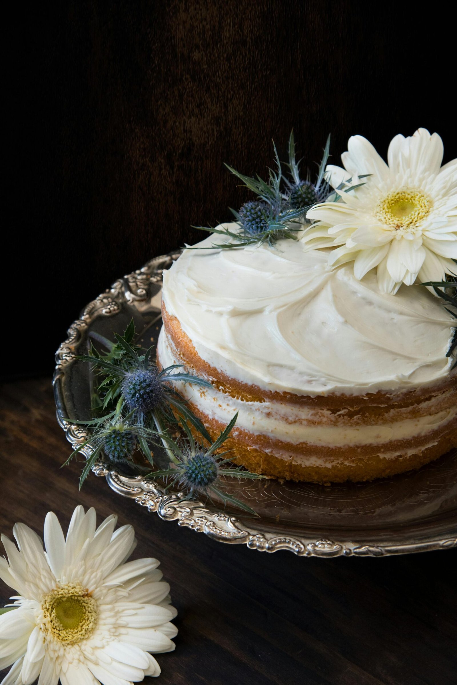 Vegan Blueberry Cake